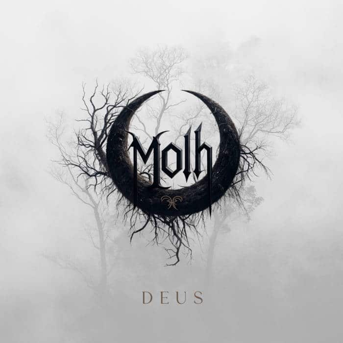 Read more about the article Review: Deus by Molh