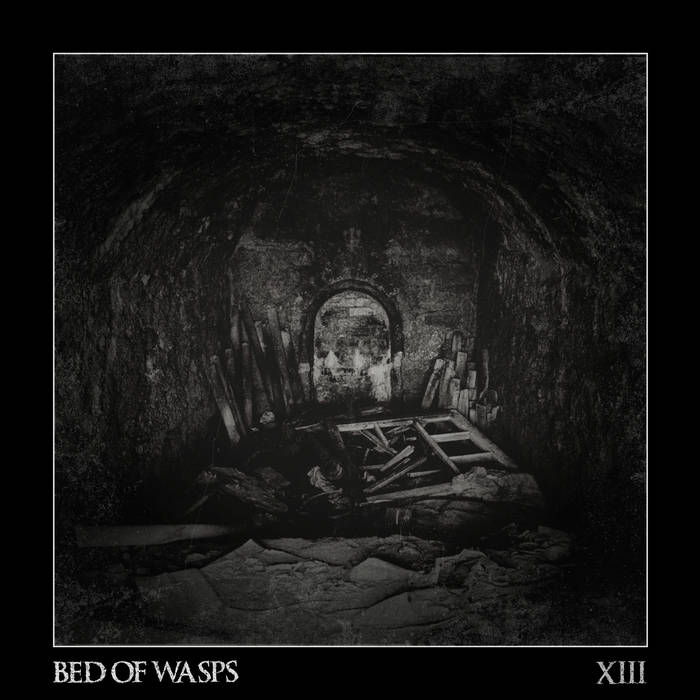 Read more about the article XIII by Bed of Wasps