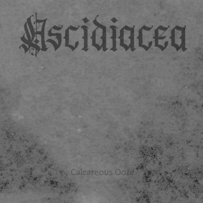 You are currently viewing Calcareous Ooze by Ascidiacea