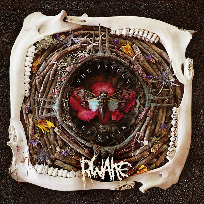 You are currently viewing Rwake – The Return of Magik