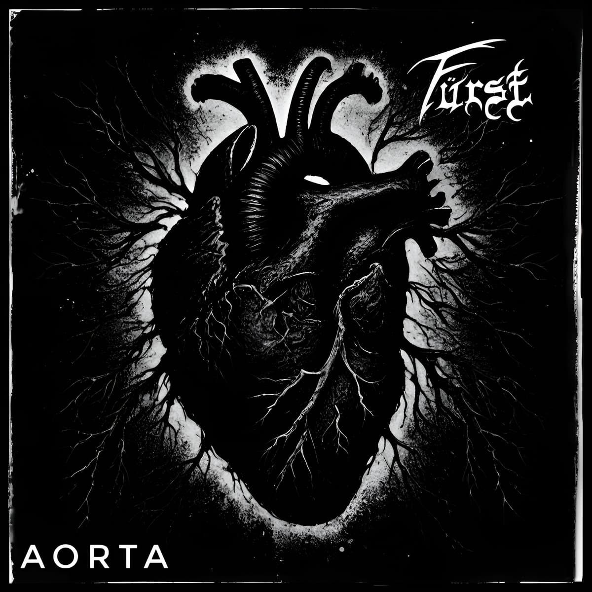 You are currently viewing Aorta by Fürst