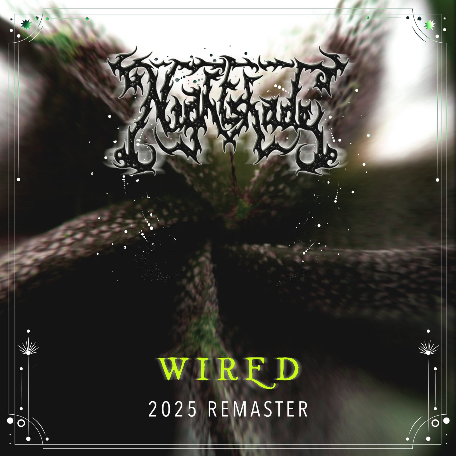 You are currently viewing Wired by Nightshade Review