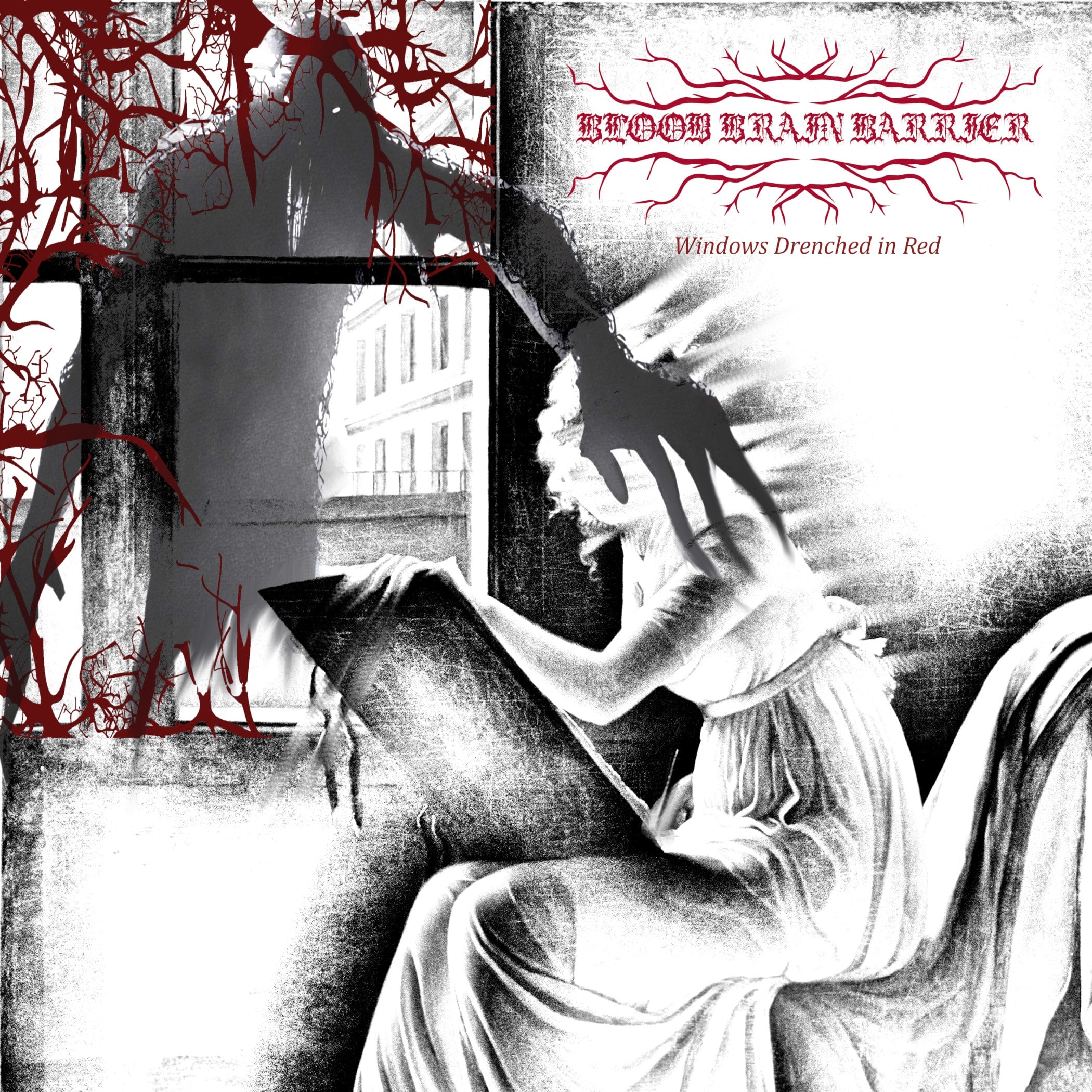 You are currently viewing Black/Sludge Metal Band Blood Brain Barrier Release Windows Drenched In Red
