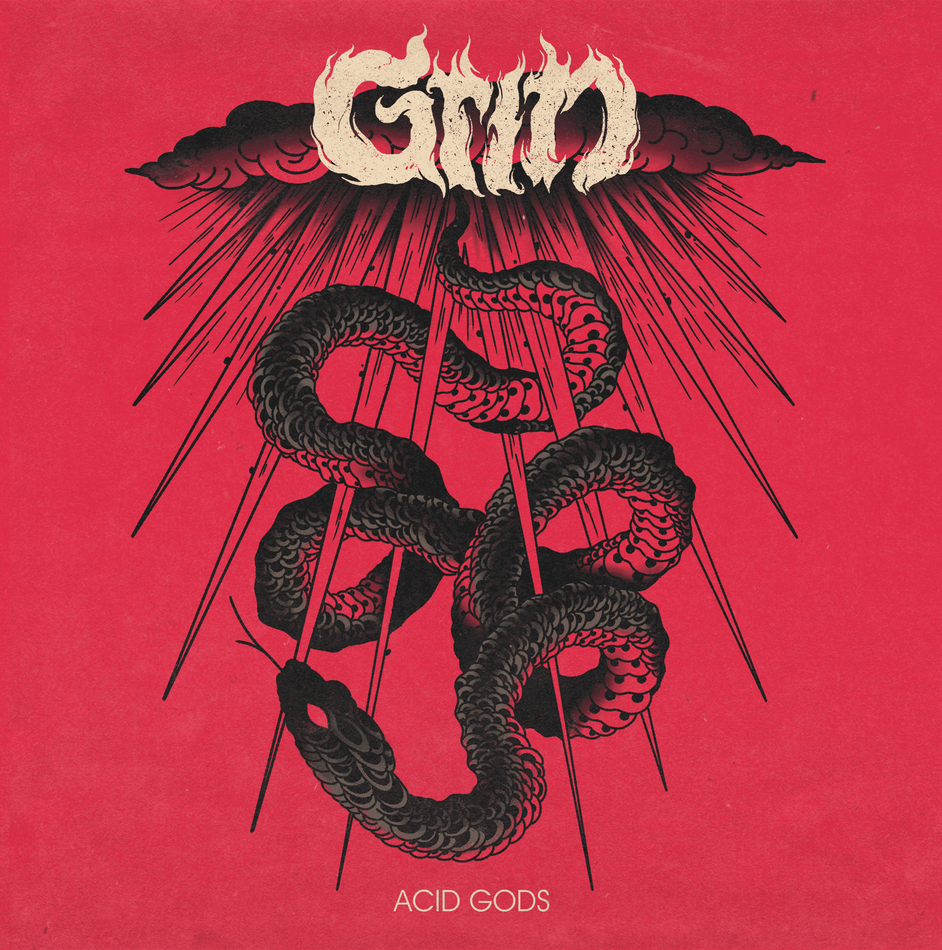 Read more about the article Review: Acid Gods by Grin