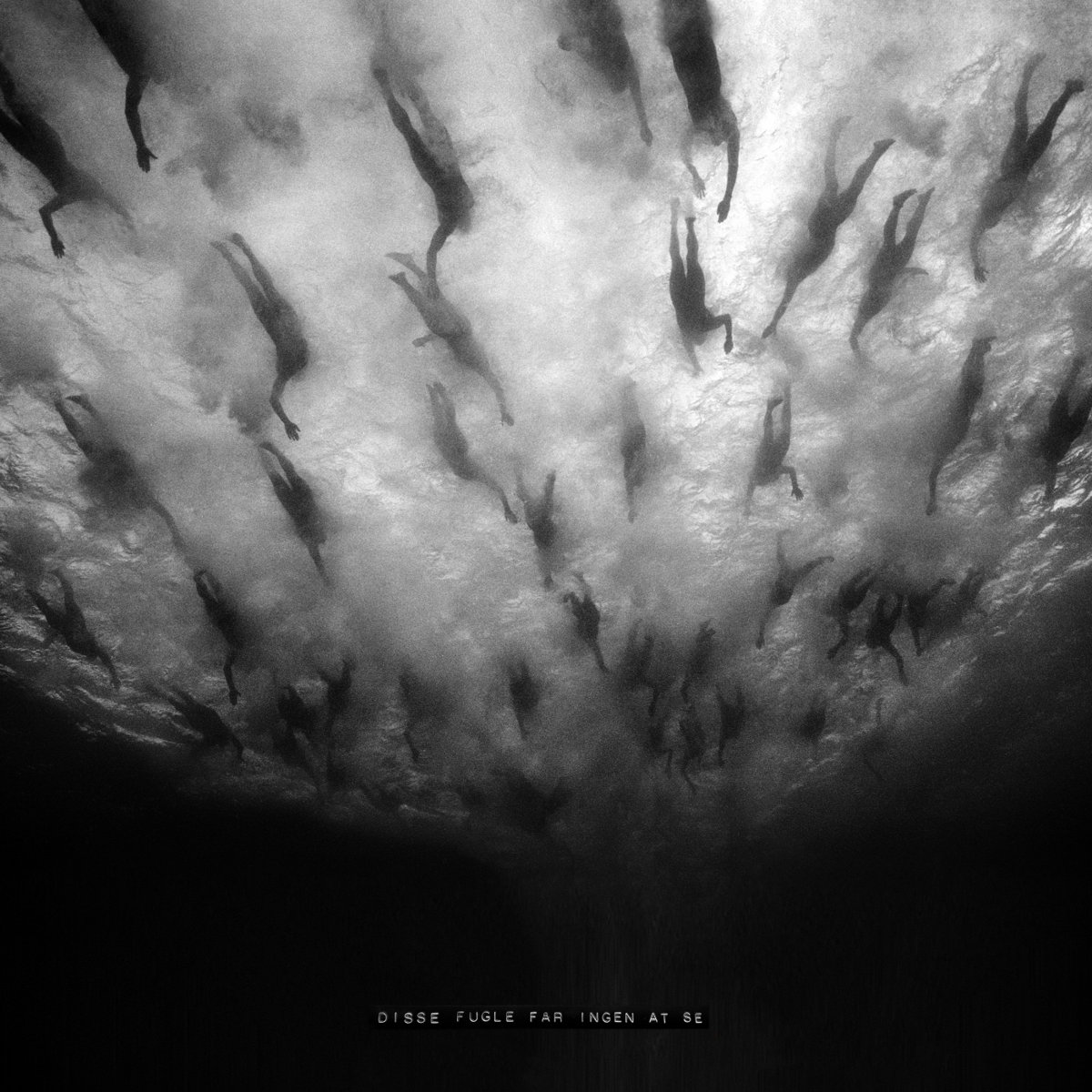 Read more about the article Review: Disse Fugle Får Ingen At Se by Morild
