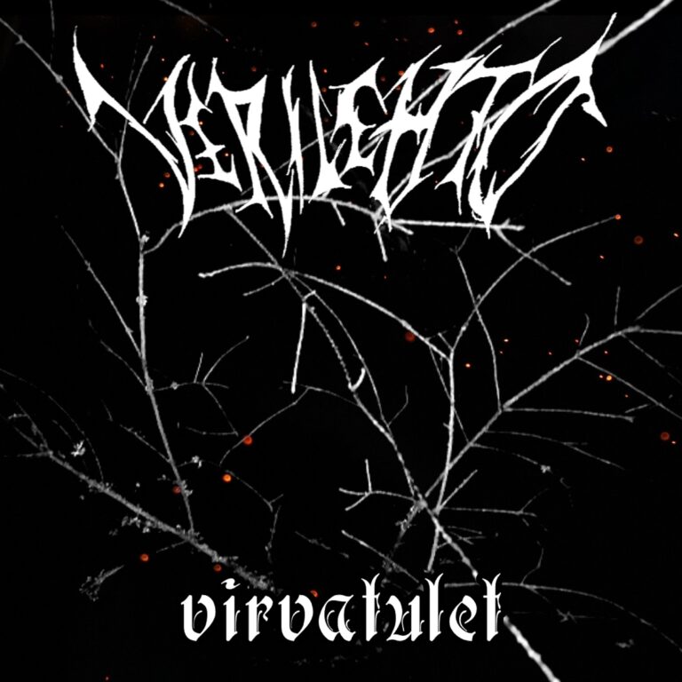 Read more about the article Verilehto Release New Single: Virvatulet