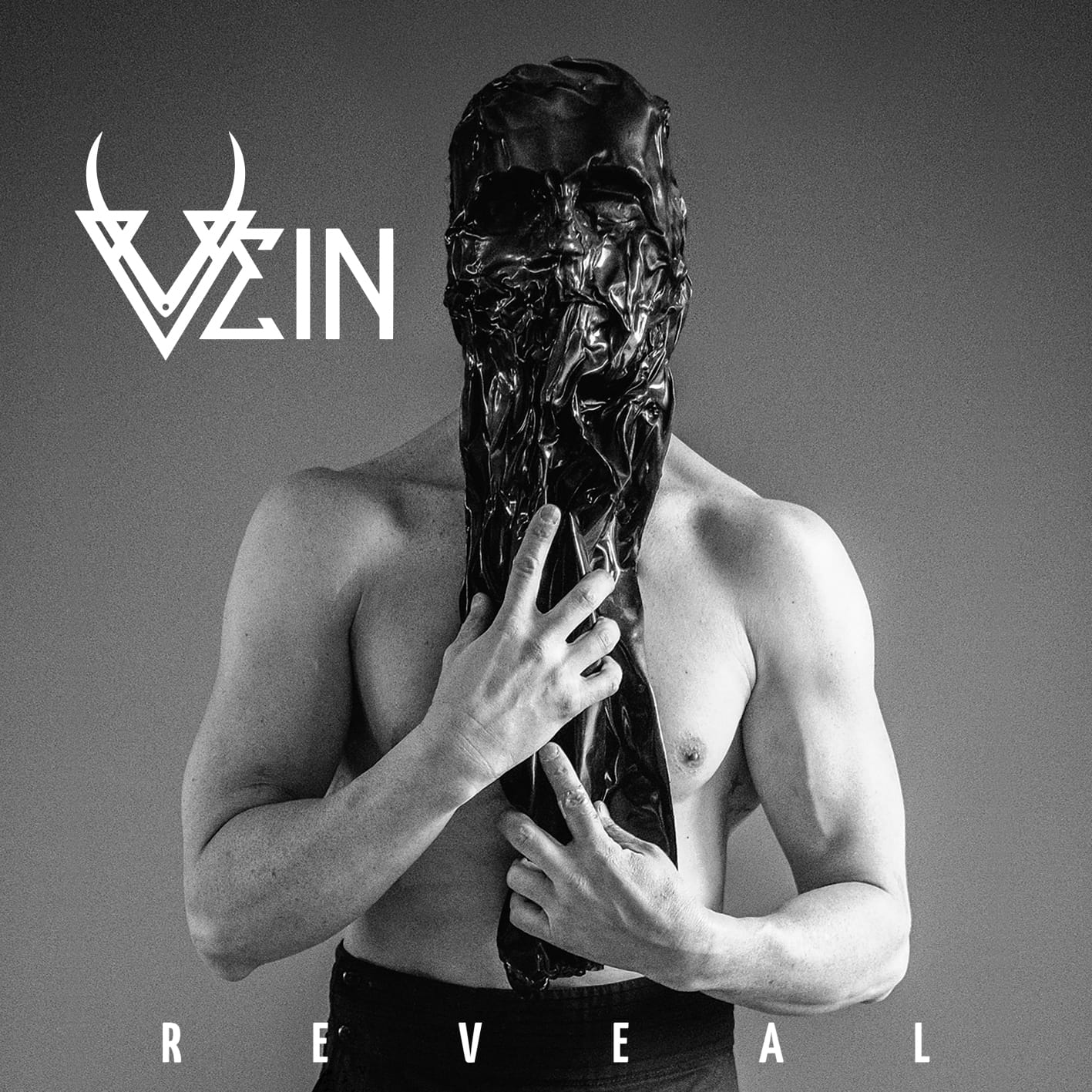 You are currently viewing Vein Announce New Album: Reveal